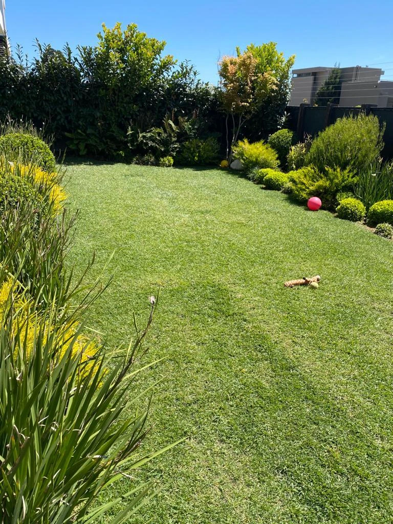 Jardín con área de césped y juguetes para mascotas